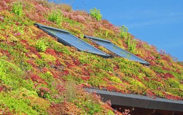 Holme Chapel living roof systems